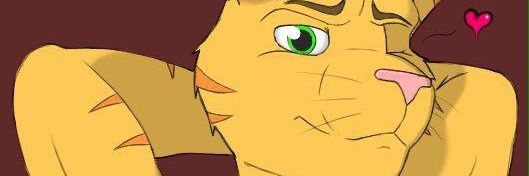 kitty banner