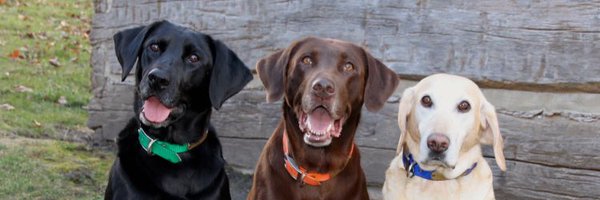 KristleWolcott Profile Banner