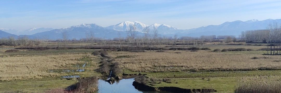 Yiannis Banakakis banner