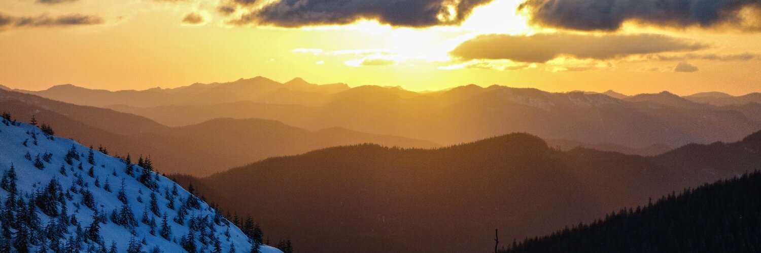 Bob Thordarson 🛡️🧪 banner