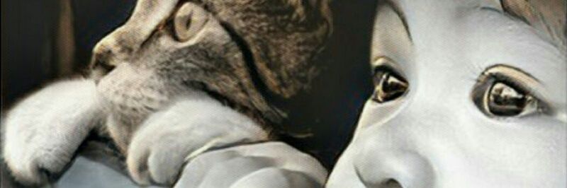 aycimen's profile banner image