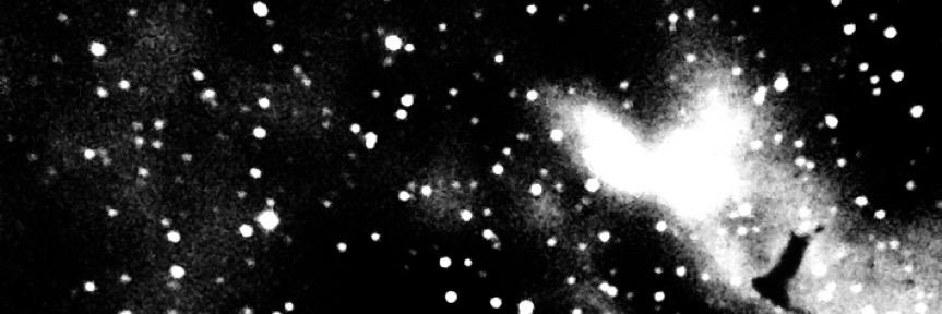 Karin Fallenius banner