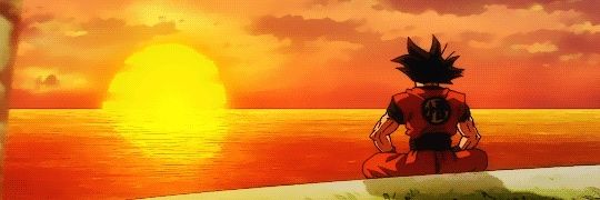 p1r banner