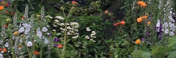 HigherEdPatrina Profile Banner