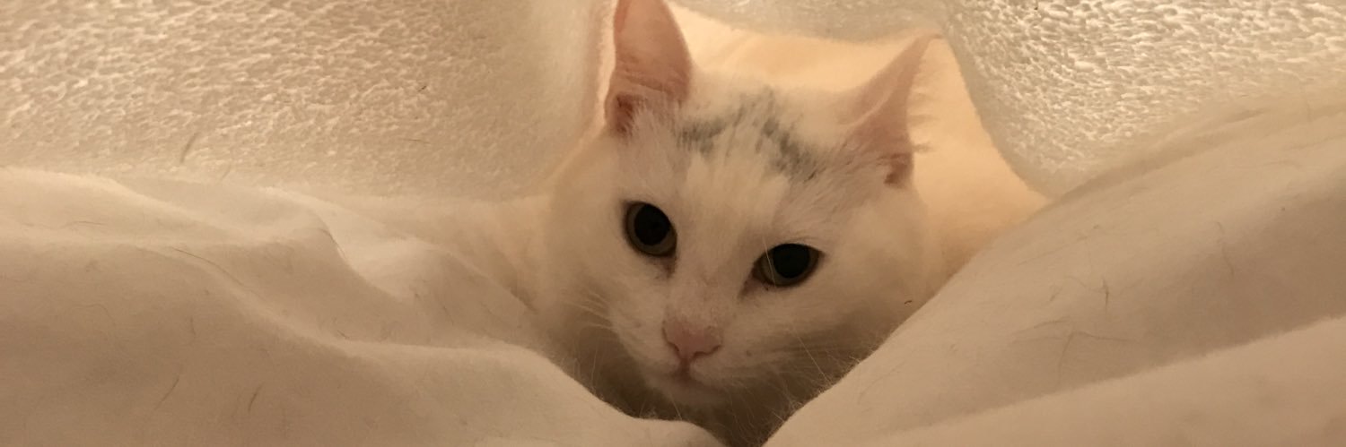 terablm's profile banner image