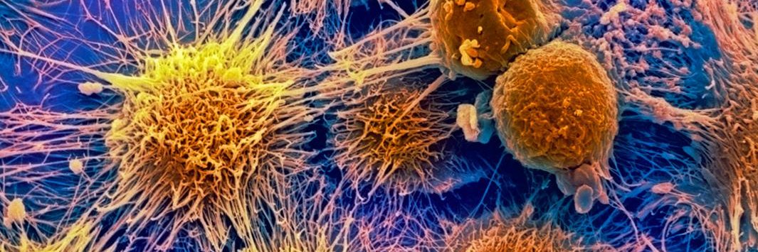 UTSWCancerBio's banner
