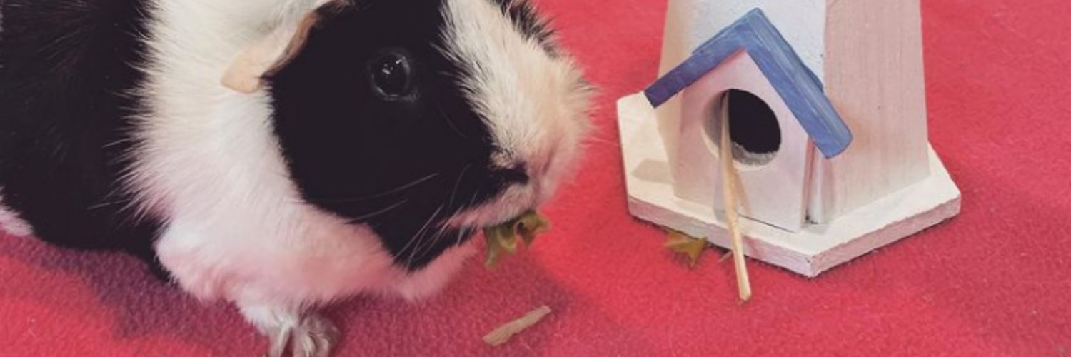 NorthLiberty Library banner