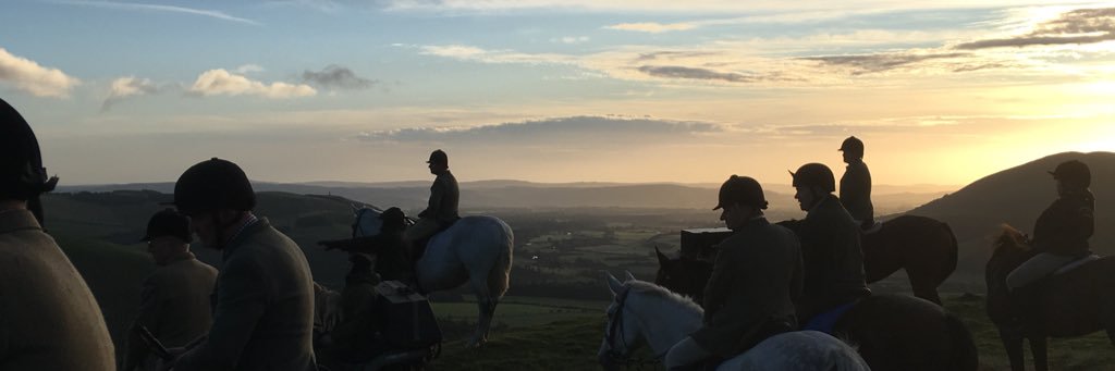 carolinetyser's profile banner image