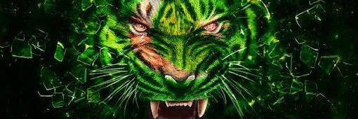 Mian_AliSher's profile banner image