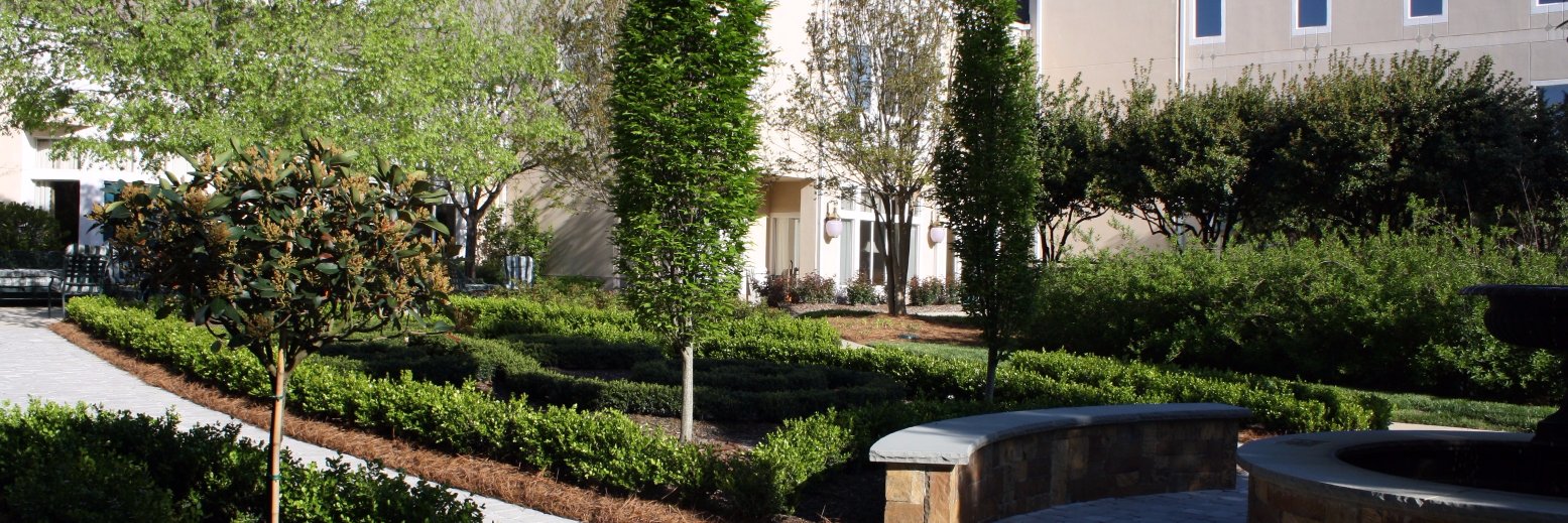 The Forest at Duke banner