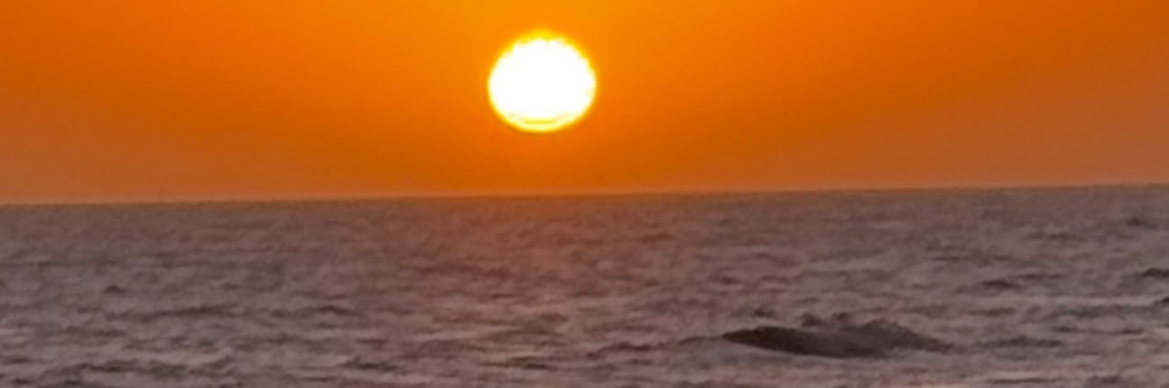 A REFORMed conservative banner
