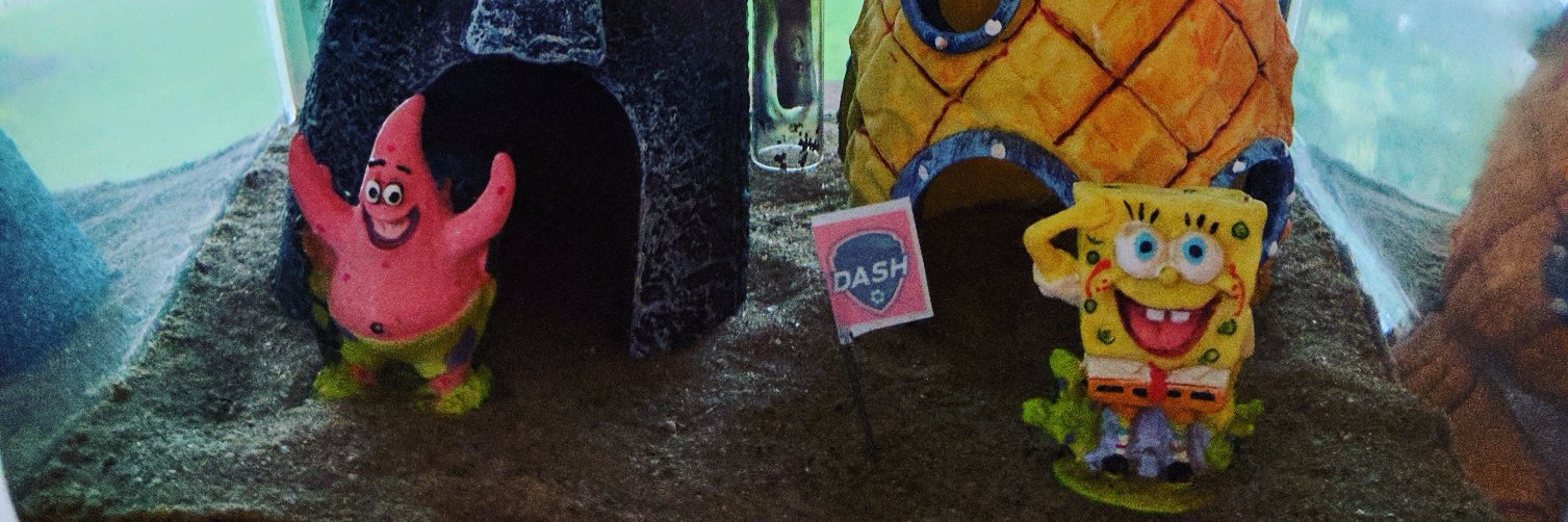 elmpi's profile banner image