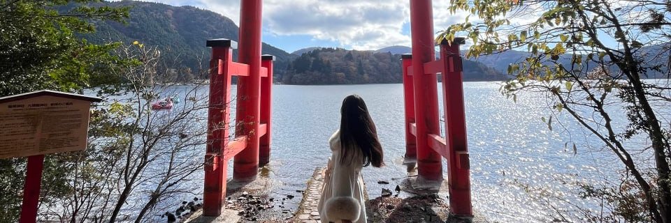 hellencapellari's profile banner image