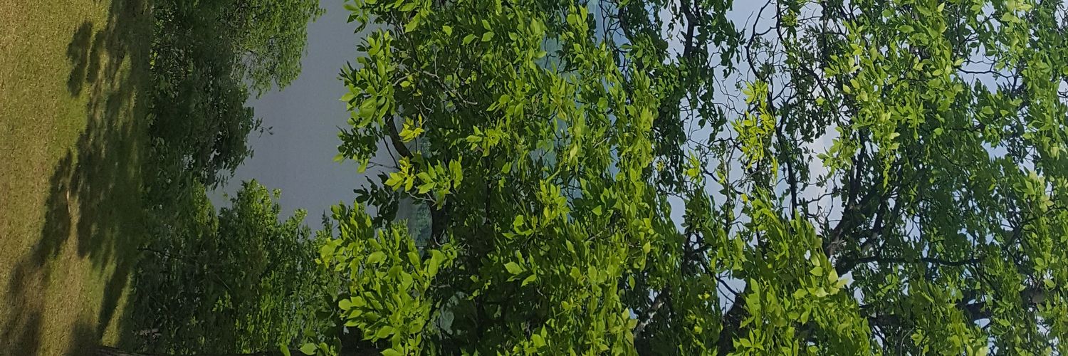 imaVTah's profile banner image
