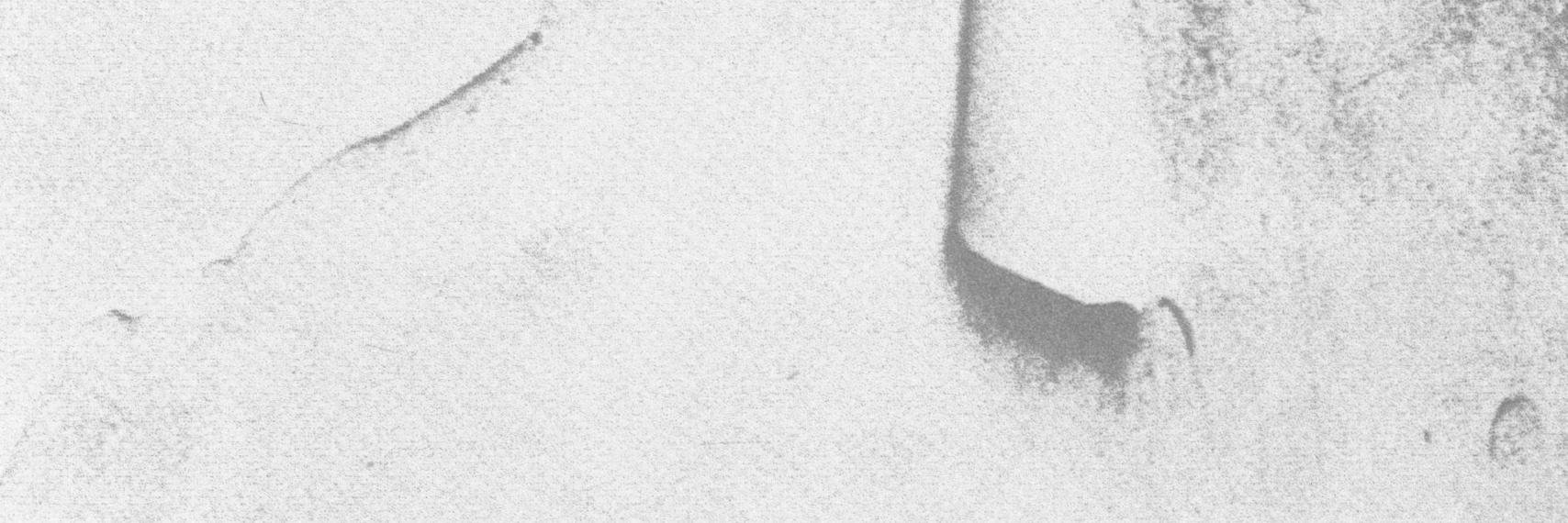 kirvelaite's profile banner image