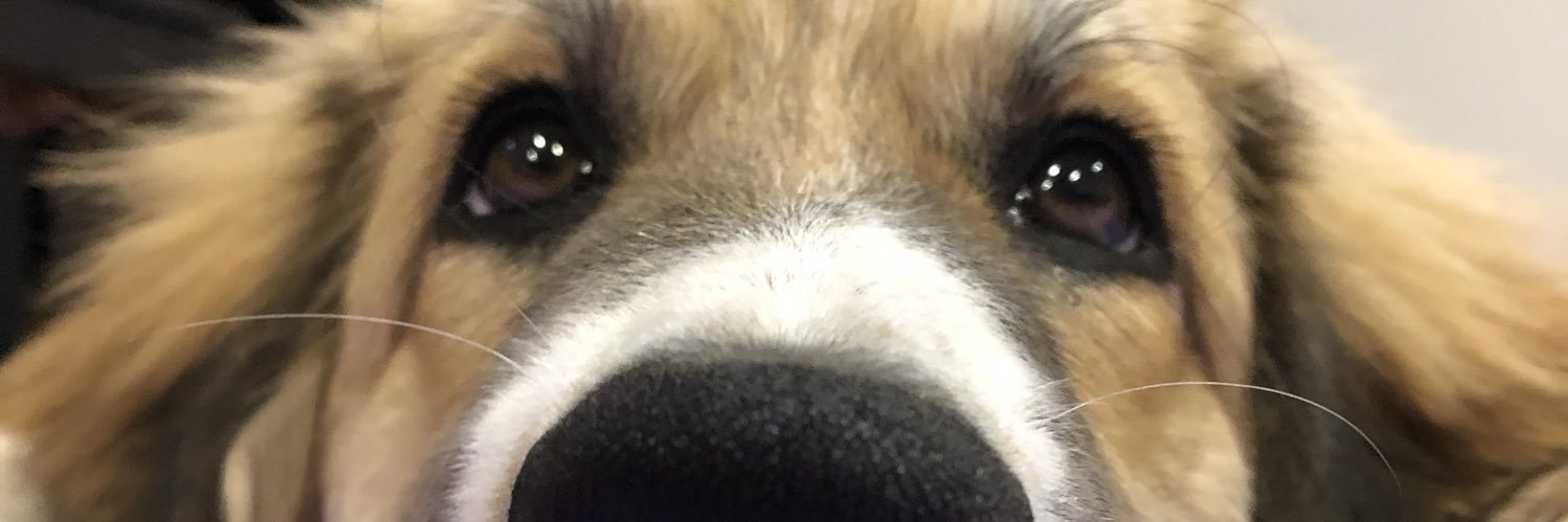nicstickk's profile banner image