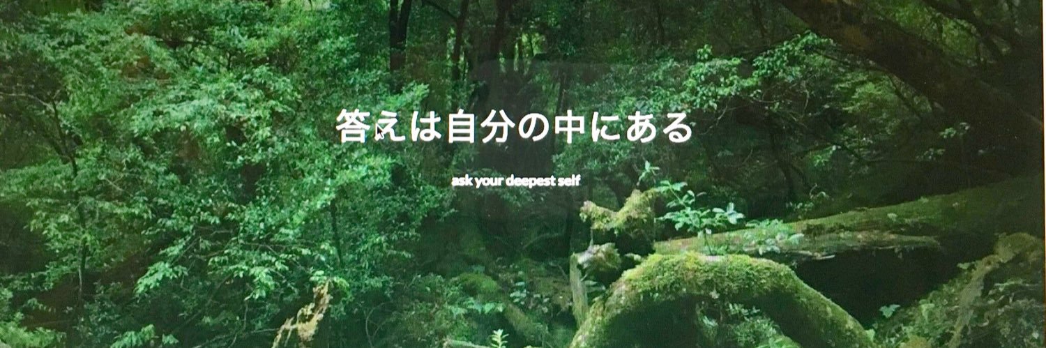 dayanow's profile banner image