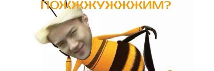 JackieMoonlight's profile banner image