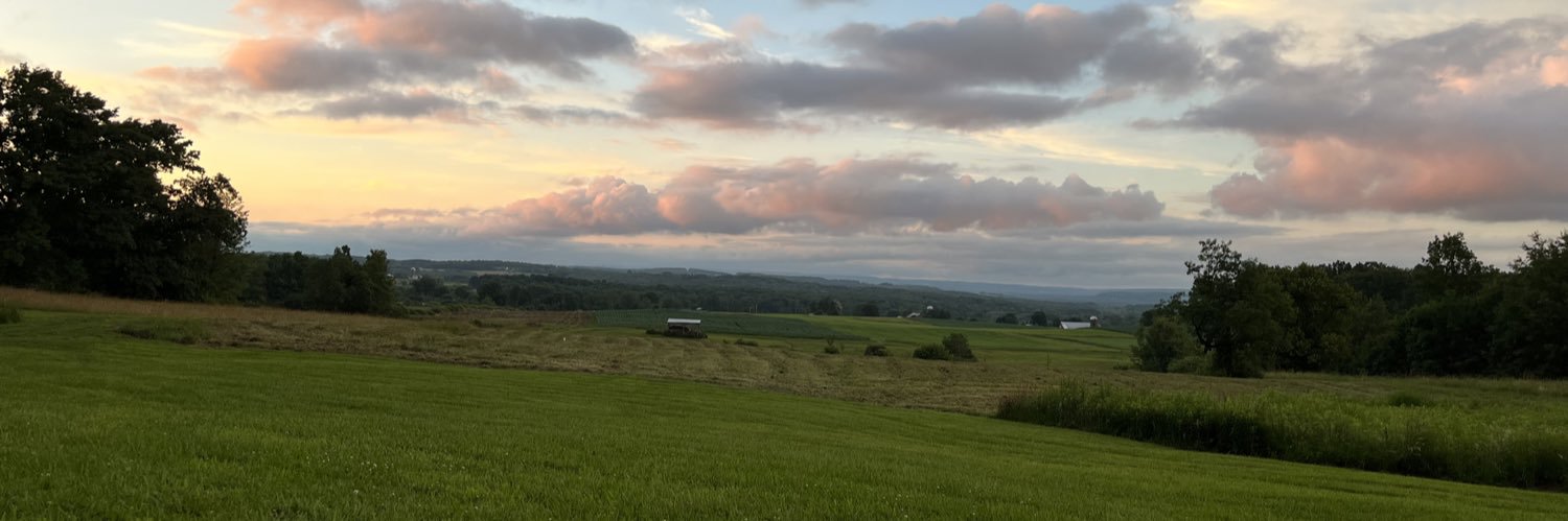 lydiarlarson's profile banner image