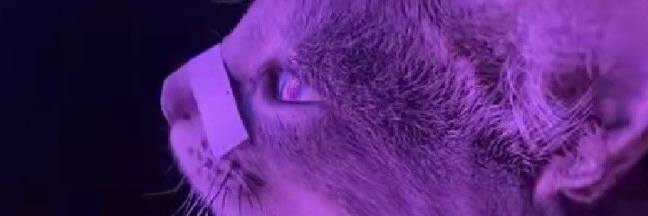 ______blackout's profile banner image