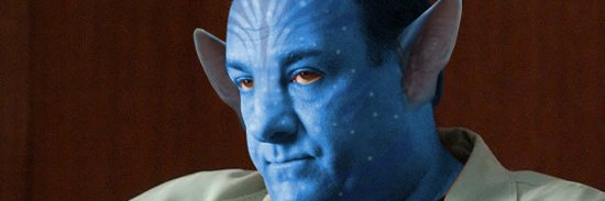 Andrew Bridgman banner