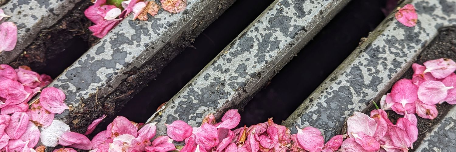 brownowl07's profile banner image