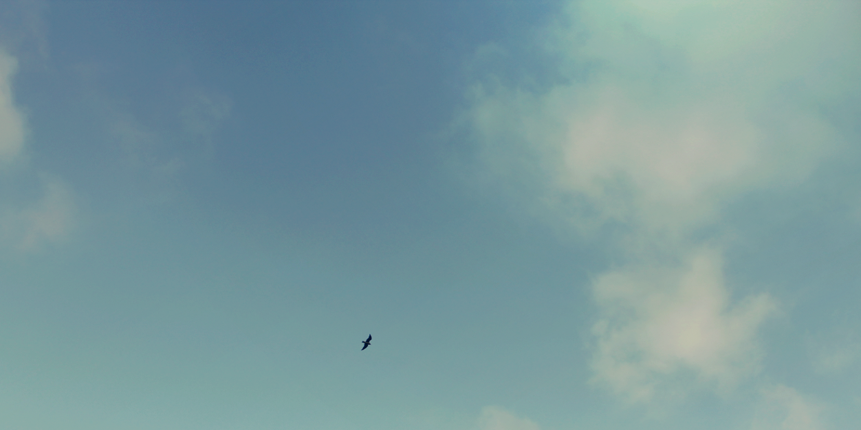 SvenjaPieritz's profile banner image