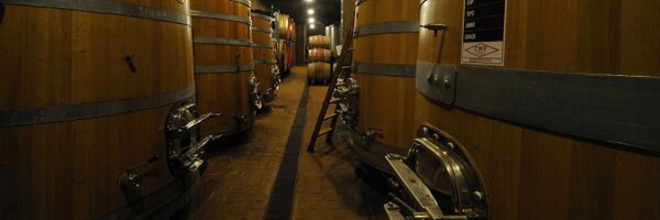 VignaioliFIVI Profile Banner