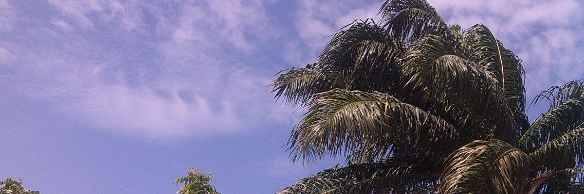 real1aguda's profile banner image
