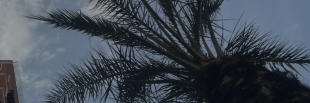 Bearomartinez's profile banner image