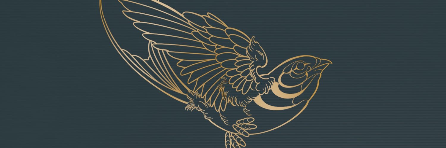 011vasconcellos's profile banner image