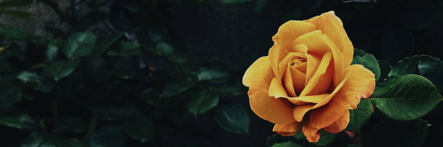JustinmBlank's profile banner image