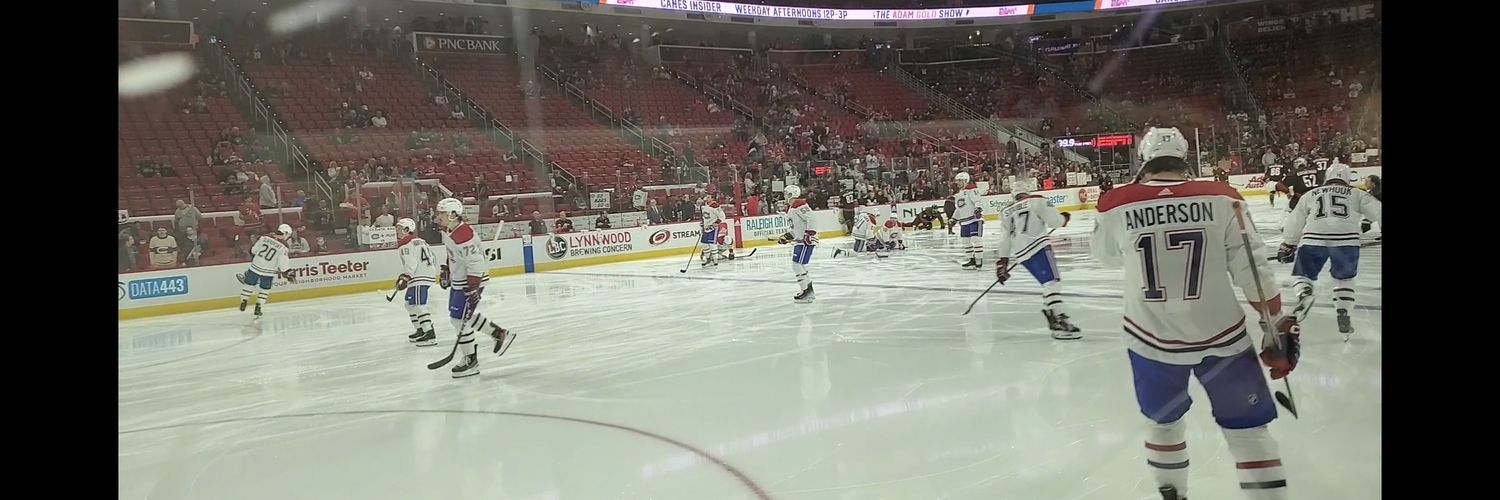 horsesnhockey banner