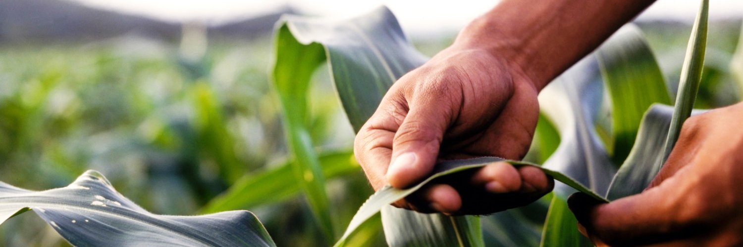 Indiana Corn Growers Association banner