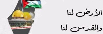 The Noble Conscience 🇵🇸 banner