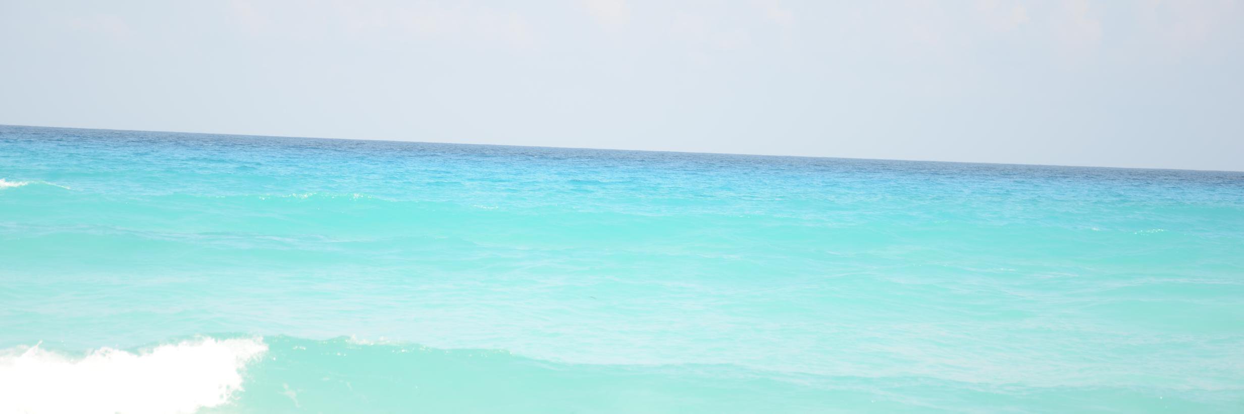 rajchana's profile banner image
