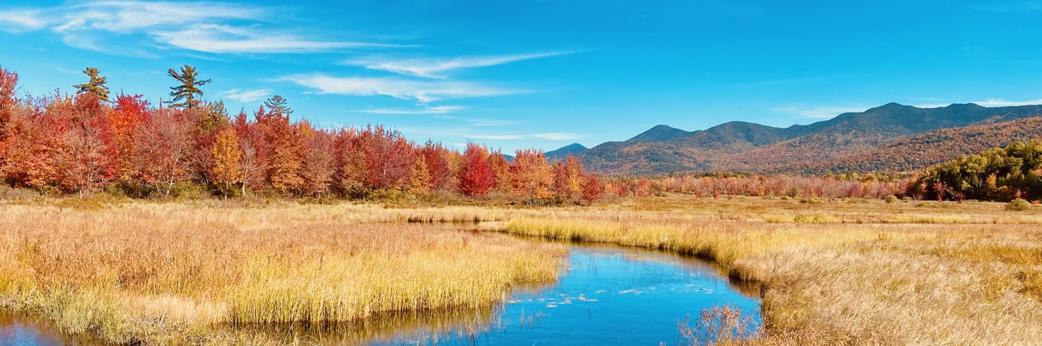 Holly Riddle 👻 banner