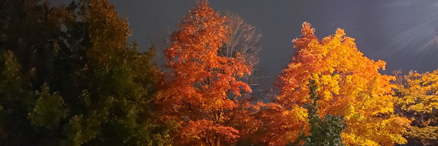 aaerdek's profile banner image