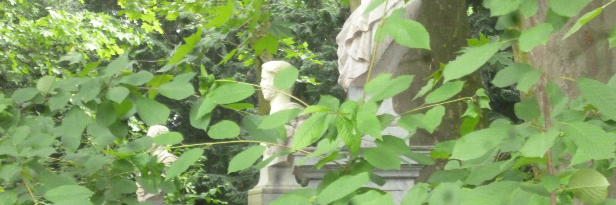 Christopher Guyver banner