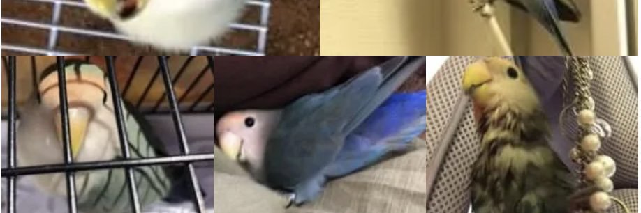 mana_mi_'s profile banner image