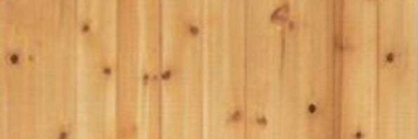 MonicaSavio's profile banner image