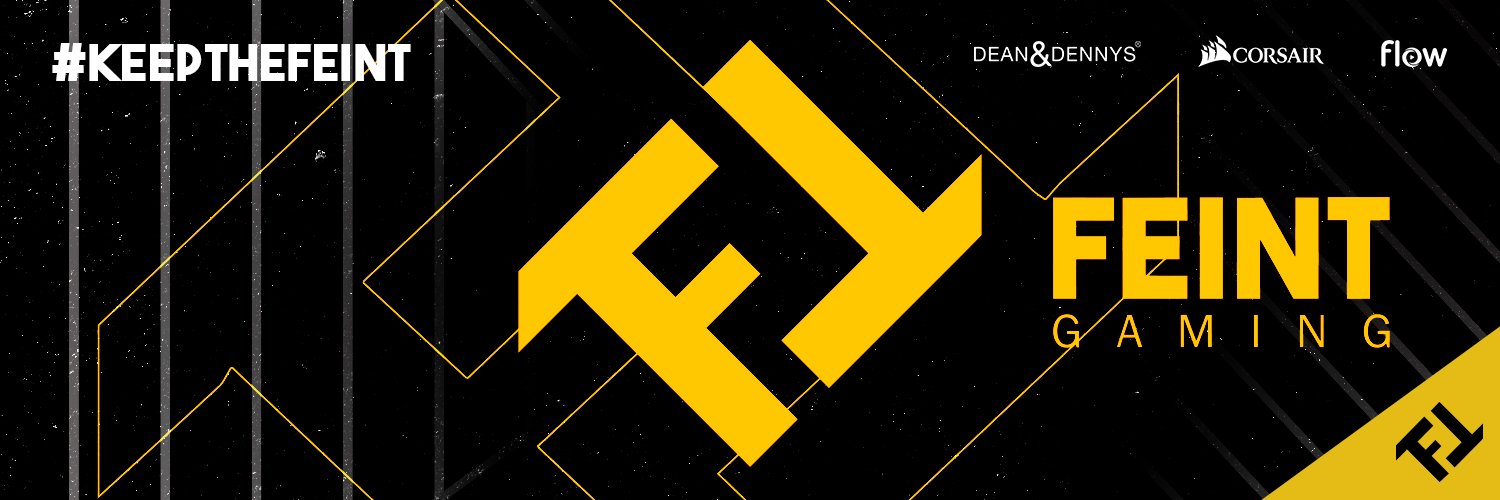 Feint Gaming banner