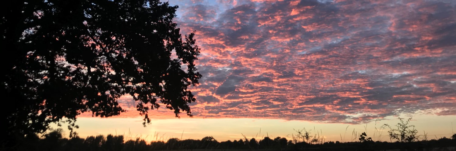 pawspe's profile banner image