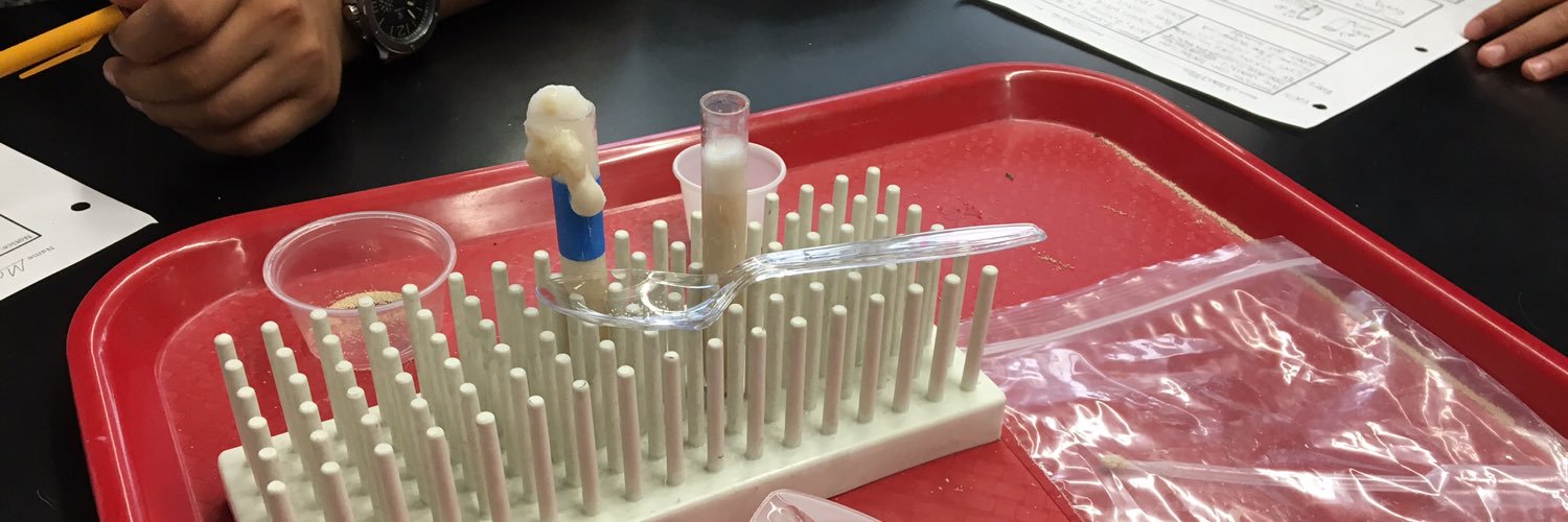 Michele Hetland banner