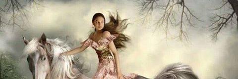 WAEL198533's profile banner image