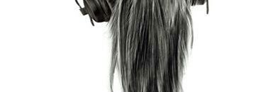 swingingthailan's profile banner image