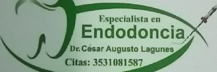 endocels's profile banner image