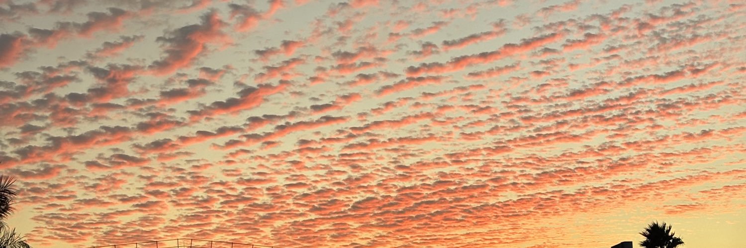 LillyUB's profile banner image