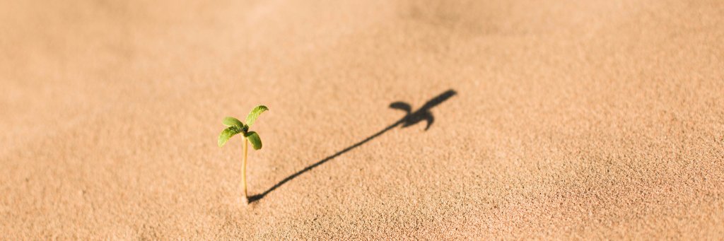 Dr Katrina Prior banner