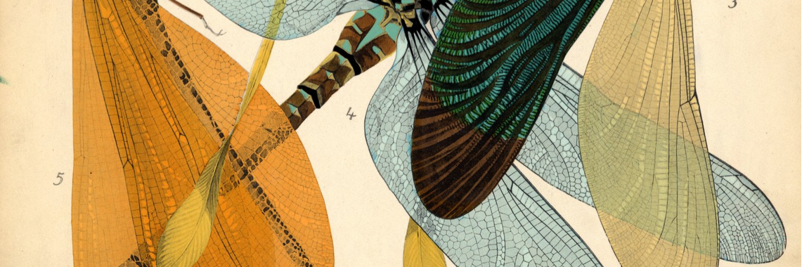 Kelsey Pugh, Ph.D. banner